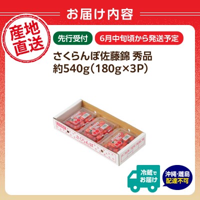 【2026年度先行受付】さくらんぼ佐藤錦 約540g 秀品【6月より順次発送予定】 063-012