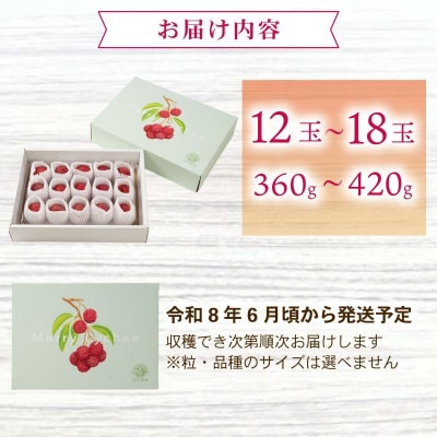 【先行受付!令和8年6月上旬頃より発送】生ライチ 国産 室戸海洋深層水使用 ライチ 果物