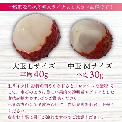 【先行受付!令和8年6月上旬頃より発送】生ライチ 国産 室戸海洋深層水使用 ライチ 果物