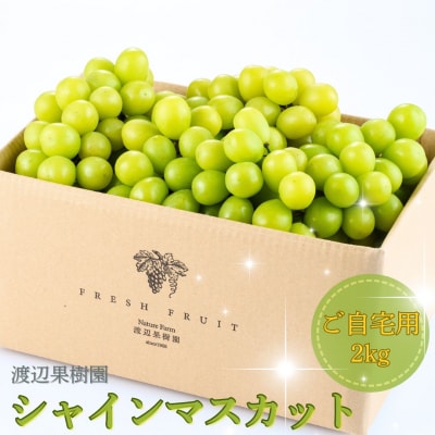 シャインマスカット ご自宅用 2kg 令和8年度 渡辺果樹園 【027S040】