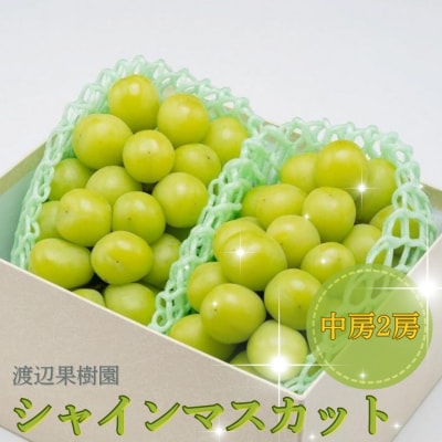 中房シャインマスカット2房(約1kg) 令和8年度 渡辺果樹園 贈答用 【018S031】