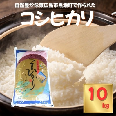 東広島市産米 コシヒカリ 10kg【令和8年産 新米】