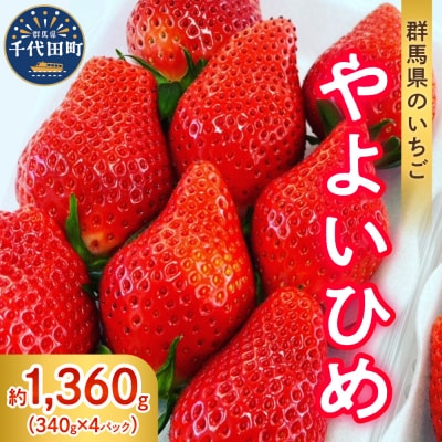 《先行受付》5月発送 いちご「やよいひめ」約340g×4パック クール便 ch002-011-5