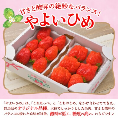 《先行受付》5月発送 いちご「やよいひめ」約340g×4パック クール便 ch002-011-5