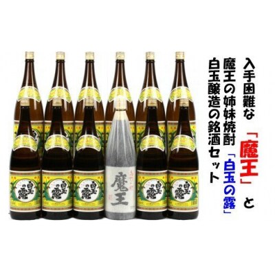 【魔王と白玉の露】白玉醸造の銘酒12本セット 10001-2