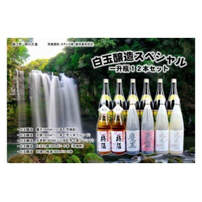 大人気『魔王』『彩煌の梅酒』入り 一升瓶12本セット 10002-2