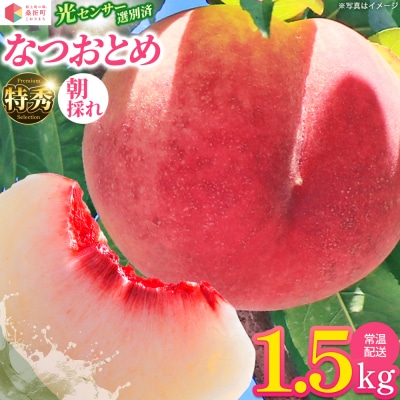 もも【なつおとめ・2027年産先行受付】特秀1.5kg　桑折町産　JAふくしま未来　桃