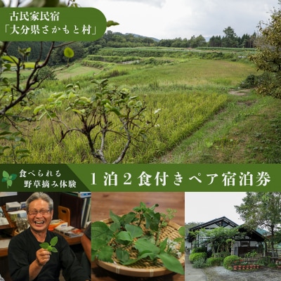 大分県さかもと村ペア1泊2日&食べられる野草摘み体験
