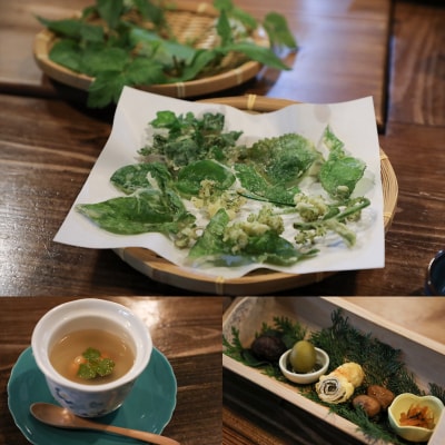 大分県さかもと村ペア1泊2日&食べられる野草摘み体験
