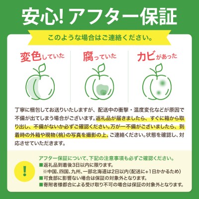 もも【なつおとめ・2027年産先行受付】特秀　3kg　桑折町産　JAふくしま未来　桃