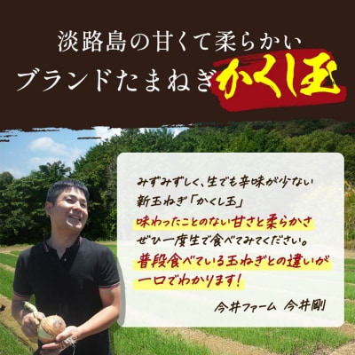 【新たまねぎ】今井ファームの淡路島たまねぎ「かくし玉」2kg【4月下旬～5月頃発送】　ai01158
