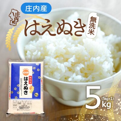 庄内産 はえぬき無洗米 5kg 令和8年産 2026年産 ブランド米