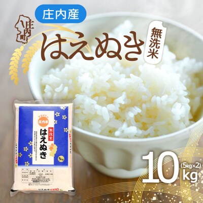 庄内産 はえぬき無洗米 10kg 5kg×2袋 令和8年産 2026年産 ブランド米