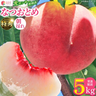 もも【なつおとめ・2027年産先行受付】特秀　5kg　桑折町産　JAふくしま未来　桃