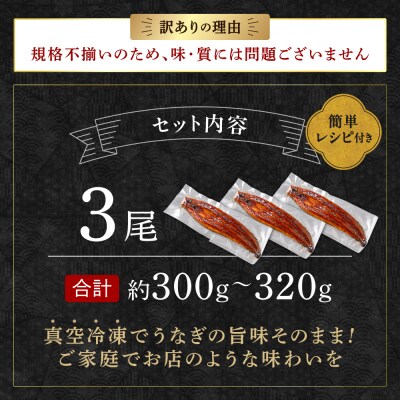 〈訳あり〉国産うなぎ蒲焼 3尾 300g以上【魚住商店】_HA1997-CP