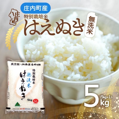特別栽培米はえぬき無洗米 5kg 令和8年産 2026年産 ブランド米