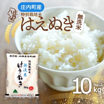 特別栽培米はえぬき無洗米 10kg 5kg×2袋 令和8年産 2026年産 ブランド米