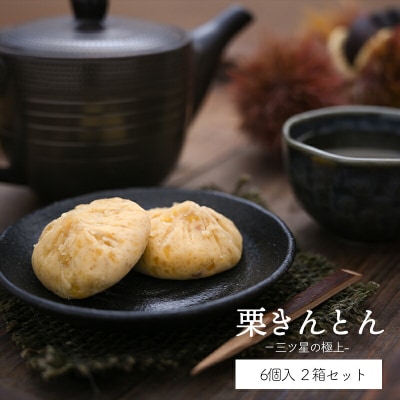 和菓子 栗きんとん 6個入 × 2箱 はな恵 宮崎県 美郷町 菓子 お菓子 栗 [31am0005]