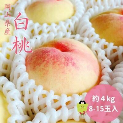 【2027年発送】白桃 岡山 秀品 大玉 約4kg 8-15玉　土-17