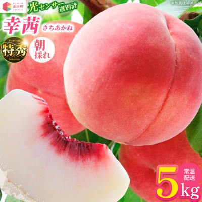 もも【幸茜・2027年産先行受付】特秀　5kg　桑折町産　JAふくしま未来　桃