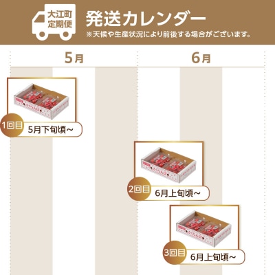 山形さくらんぼ 3種食べ比べ定期便【定期便全3回】 063-T04