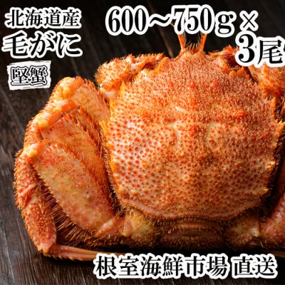 根室海鮮市場<直送>ボイル毛がに600～750g×3尾(堅蟹) D-28062