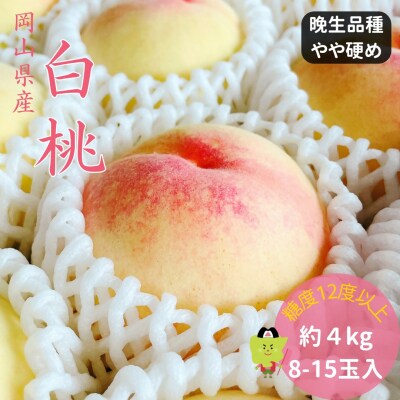 【2027年発送】白桃 特秀 ロイヤル 大玉 晩生品種 4kg　土-19