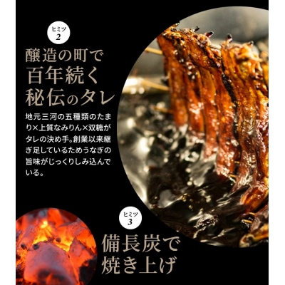 今だけ肝焼き1パック付き<冬の土用丑・年末年始> 三河一色産うなぎの炭火焼 3尾　H007-110