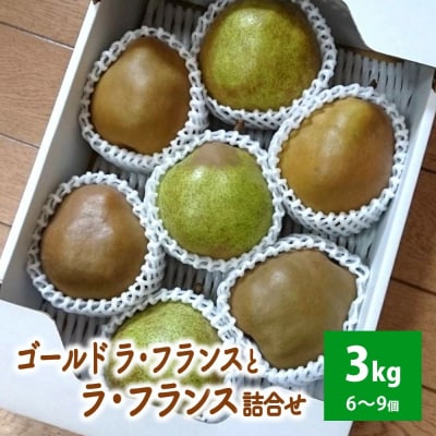 ゴールドラフランスとラフランス詰合せ　3kg　秀品　0096-2603