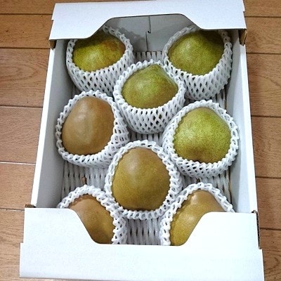 ゴールドラフランスとラフランス詰合せ　3kg　秀品　0096-2603