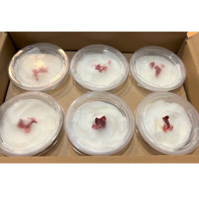 【四国一小さなまち】レアチーズケーキ(冷凍)　約70g×6個【茶房千福】