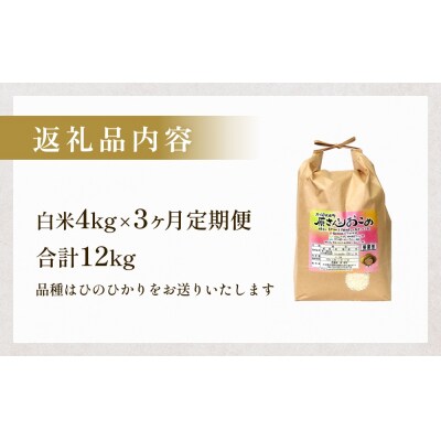 【令和8年産】原さんちのお米 白米 4kg ヒノヒカリ 3回定期便 米 お米