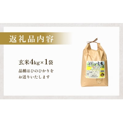 【令和8年産】原さんちのお米 玄米 4kg ひのひかり 米 お米 こめ コメ
