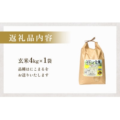 【令和8年産】原さんちのお米 玄米 4kg にこまる 米 お米 こめ コメ ご飯