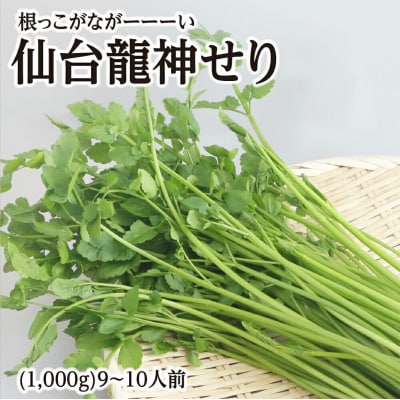 【期間限定】根っこがながーーーい　仙台龍神せり(1kg)9～10人前|21_lft-301001