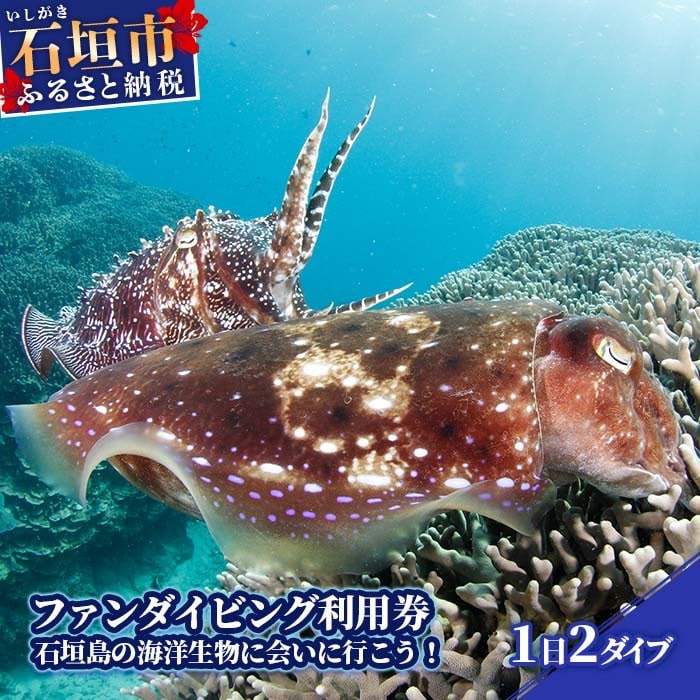 ファンダイビング利用券　石垣島のマンタ・サンゴ・ウミガメに会いに行こう!YD-001