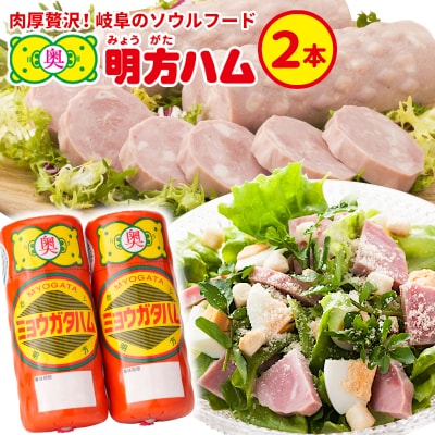  明方ハム 2本 国産 豚肉 プレスハム JAめぐみの