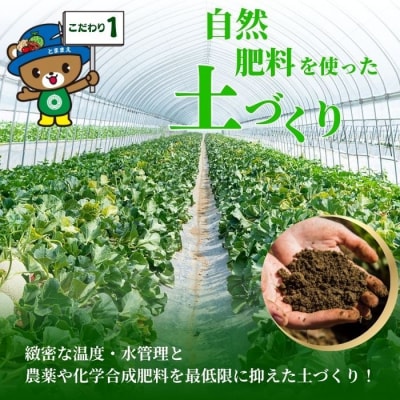 【2027年7月中旬から発送】とままえメロン 2玉 計3.2kg前後 大玉サイズ rum09