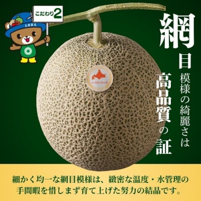 【2027年7月中旬から発送】とままえメロン 2玉 計3.2kg前後 大玉サイズ rum09