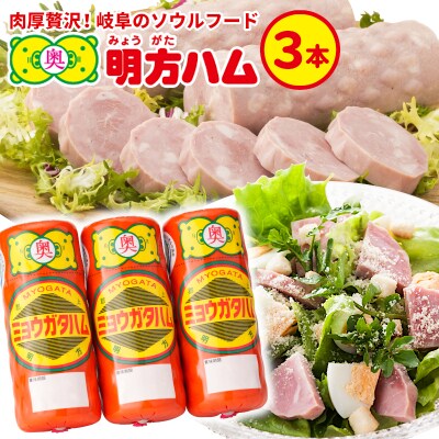 明方ハム 3本 国産 豚肉 プレスハム JAめぐみの
