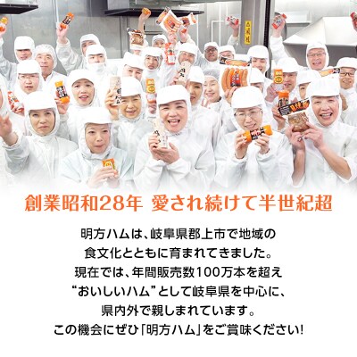 明方ハム 5本 国産 豚肉 プレスハム JAめぐみの