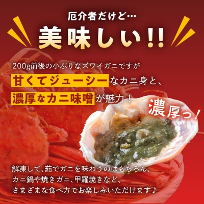 【訳あり】浜茹でオオズワイガニ 2kg 詰めセット 北海道噴火湾産_HD206-001