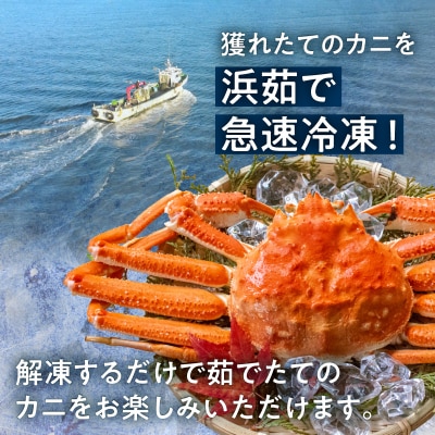 【訳あり】浜茹でオオズワイガニ 2kg 詰めセット 北海道噴火湾産_HD206-001