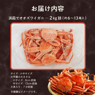【訳あり】浜茹でオオズワイガニ 2kg 詰めセット 北海道噴火湾産_HD206-001