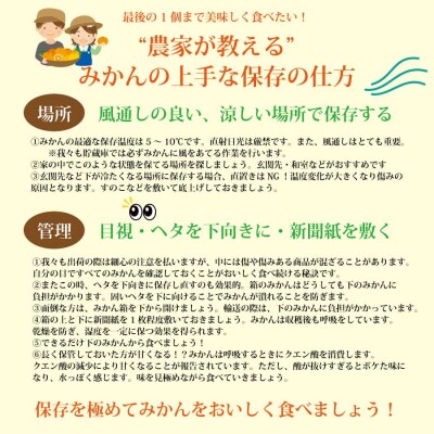 谷内青果 早生みかん 秀品 サイズ混合 10kg