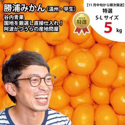 谷内青果 特選 早生みかん 秀品 S-Lサイズ 5kg