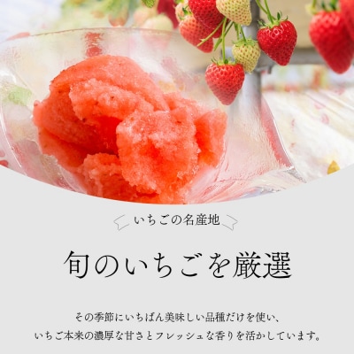 レストラン綺羅々亭特製 いちごシャーベット&バニラアイスセット(各3個)[59-1615]