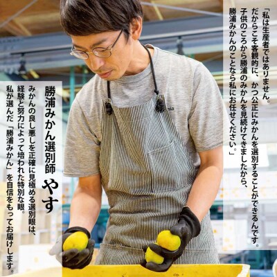 谷内青果 早生みかん 家庭用 サイズ混合 10kg