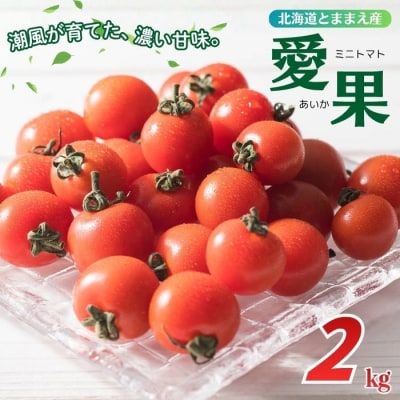 【2026年7月上旬から発送】北海道とままえ産 ミニトマト「愛果(あいか)」2kg rum13