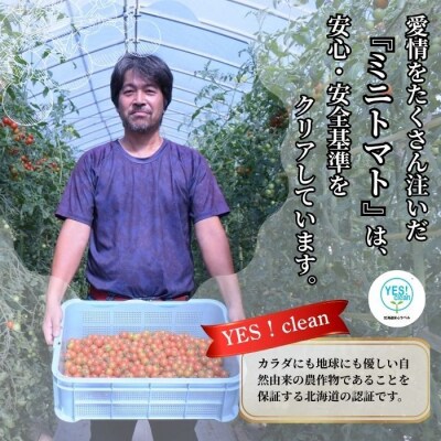 【2026年7月上旬から発送】北海道とままえ産 ミニトマト「愛果(あいか)」2kg rum13